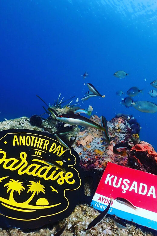AMAZING KUSADASI SCUBA DIVING - The Dive Experience: Spectacular Waters and Underwater Views