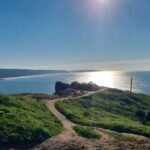 Amazing Private Tour to Alentejo Tour From Lisbon - Cork Factory: From Tree Bark to Everyday Products