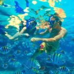 Amazing snorkeling full-day tour to Cozumel Cielo Starfish Reef - Who Will Enjoy This Tour?