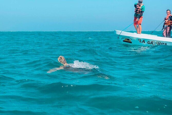 Amazing Tour in Sian Kaan biosphere with Transportation from Cancún! - Who Is This Tour Best For?