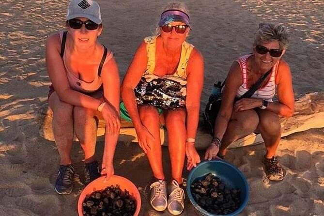 Amazing Turtle Release Tour - An Honest Look at the Turtle Release Tour