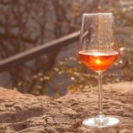 Amber Wines Private Day trip With tastings and Lunch From Tbilisi - Who Will Love This Tour?