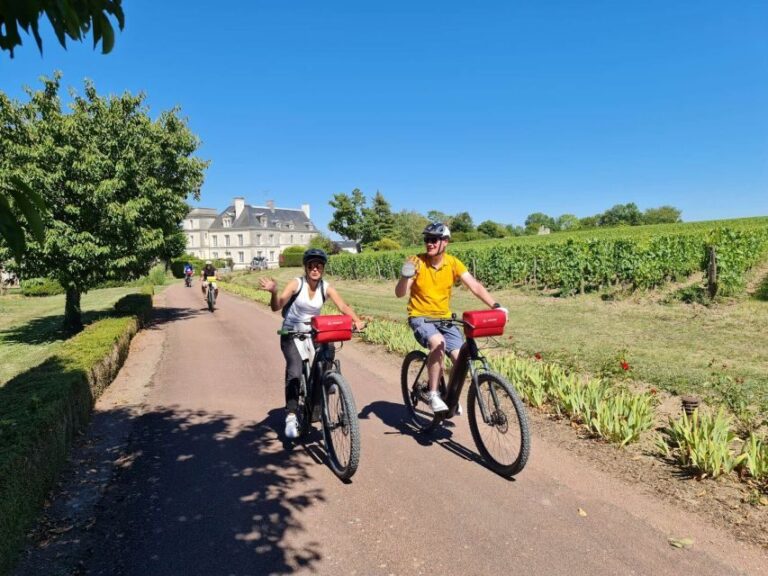 Amboise: Highlights Private E-Bike Tour w/ Clos Lucé Ticket - Who Will Love This Tour?