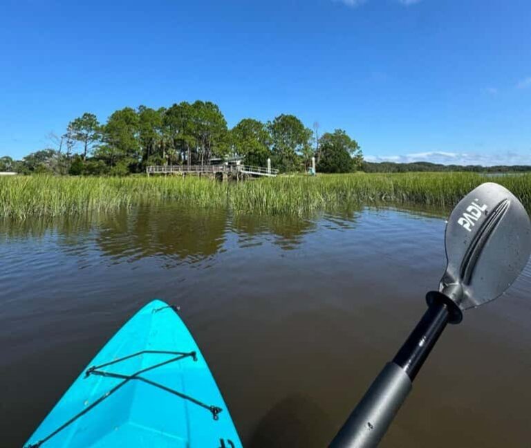 Amelia Island: Paddle Board or Kayak Rental - PADL Island - Who Will Love This Experience?
