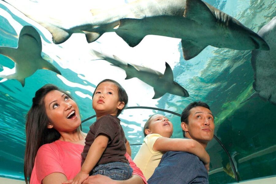 American Dream: SEA LIFE® Aquarium Entry Ticket - FAQ