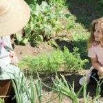 America's Home Town Plymouth Private Tour - Final Thoughts