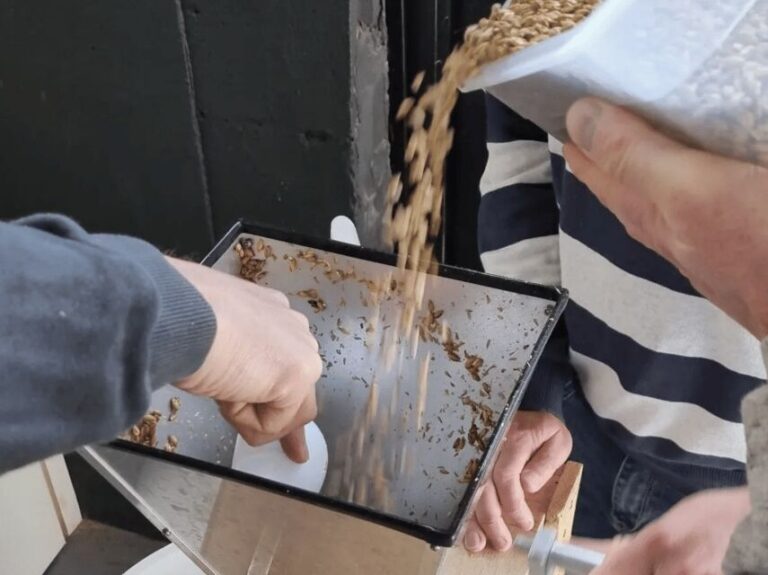 Amersfoort: Beer brewing workshop with lunch & beer tasting - Who Should Consider This Tour?