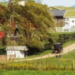 Amish Experience Visit-In-Person Tour - Who Will Love this Tour?