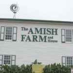 Amish Farm and House 1-Day Tour From Washington D.C. - Practical Details for Travelers
