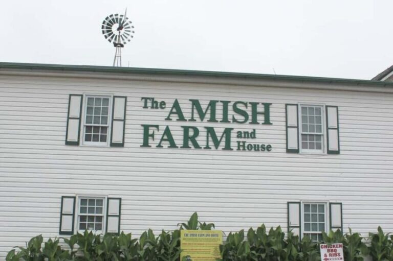 Amish Farm and House 1-Day Tour From Washington D.C. - Practical Details for Travelers