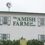 Amish Farm and House Day Tour from Washington D.C. - A Deep Dive Into the Amish Farm and House Day Tour