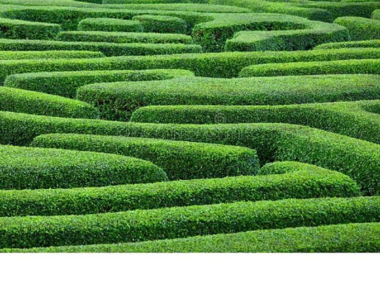 Ammochostos(:), Village Life Lover & Cyprus Gems-Region Trip - An In-Depth Look at the Cyprus Village & Coastal Experience