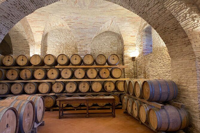 Among ancient sunny vineyards, visit and taste the wines from the San Lorenzo cellar - The Sum Up: Is This Tour Worth It?
