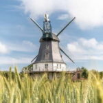 Amrum: Daytrip by boat to Föhr - Who this tour is best for