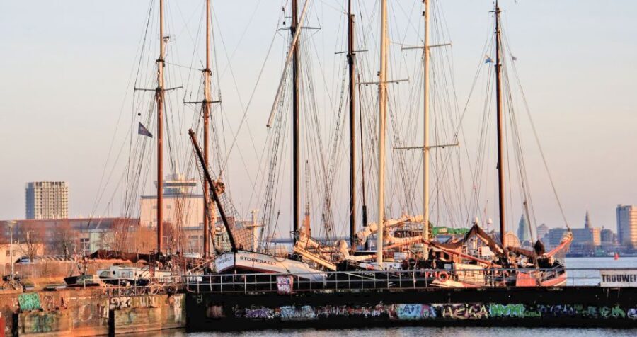 Amsterdam: Bike Tour (Noord) in German or English - Why This Tour Offers Great Value