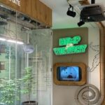 Amsterdam: Cannabis Museum Entry Ticket - Practical Details and Tips
