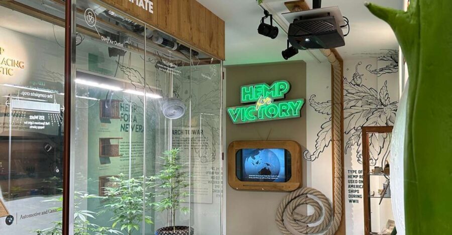 Amsterdam: Cannabis Museum Entry Ticket - Practical Details and Tips