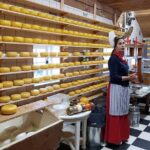 Amsterdam City & Countryside Tour: The Best of both Worlds - Who Is This Tour Best For?