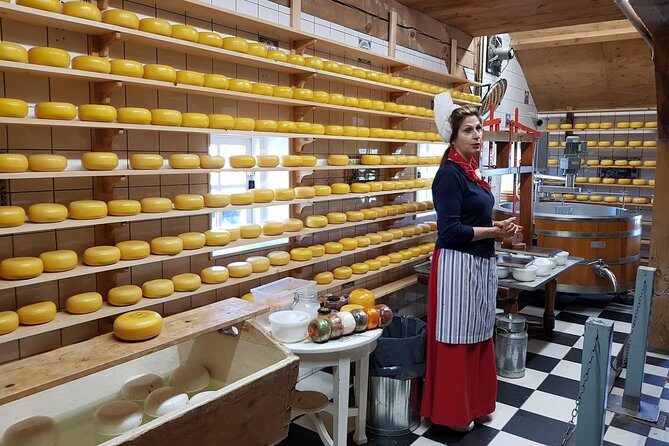 Amsterdam City & Countryside Tour: The Best of both Worlds - Who Is This Tour Best For?