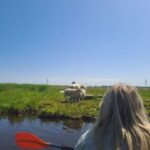 Amsterdam: Countryside Bike and Kayak Guided Tour - The Value of This Tour