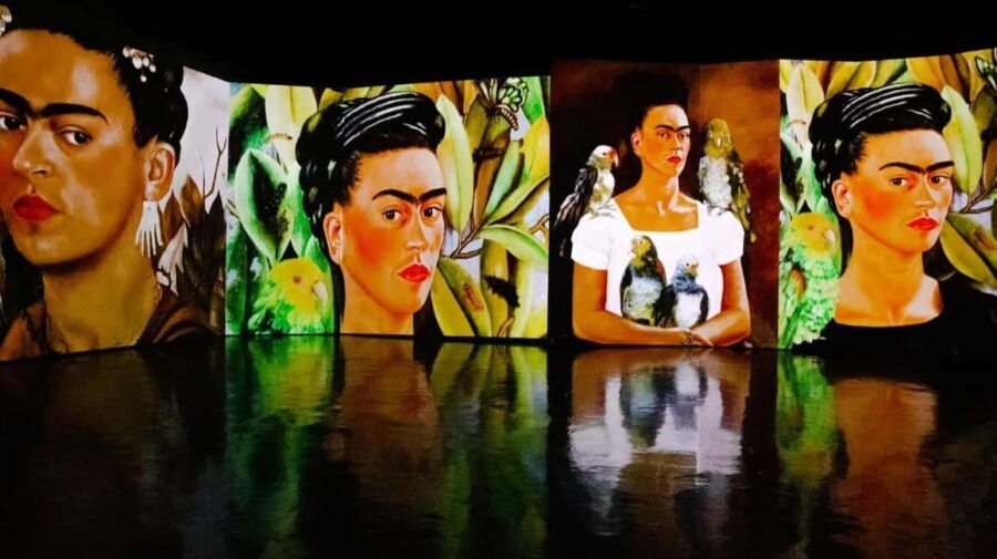 Amsterdam: Frida Kahlo Immersive & Photo Exhibition - Who Will Enjoy This Most?