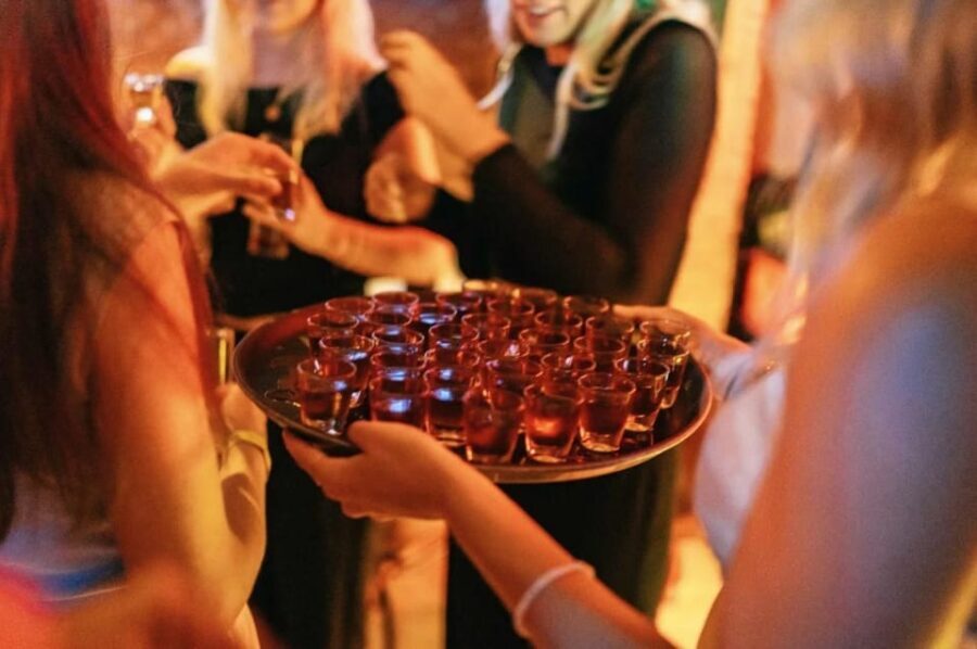 Amsterdam: Kings Day Pub Crawl with VIP Club Entry - Who Should Consider This Tour?