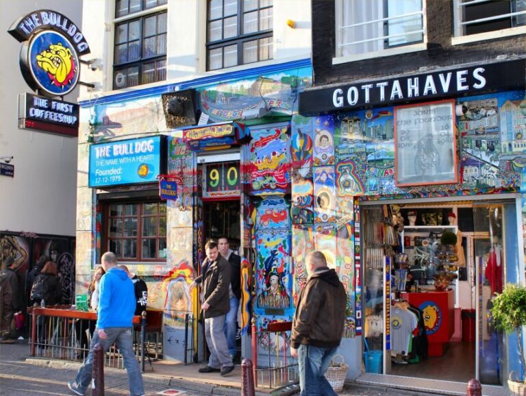 Amsterdam: Private Alternative Walking Tour - Why This Tour Offers Great Value