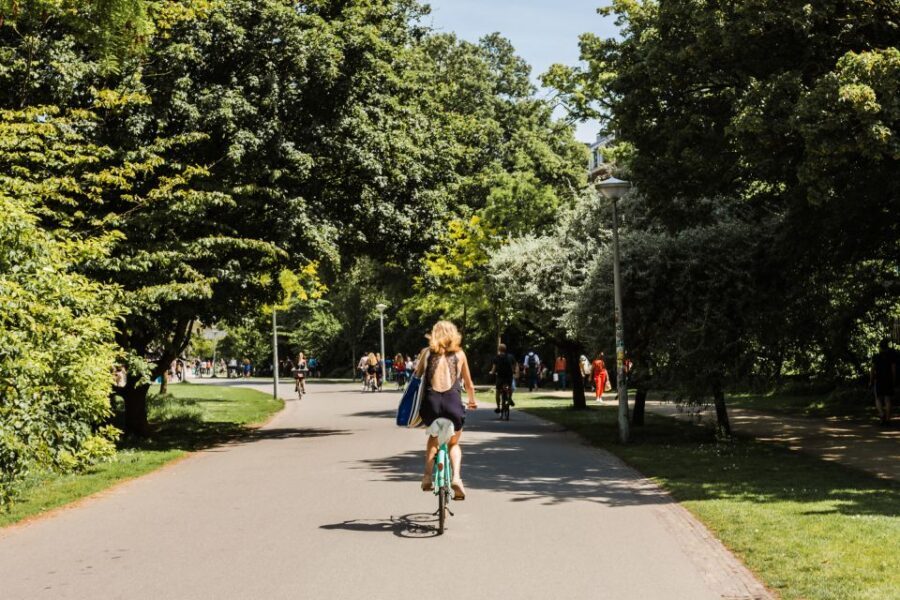 Amsterdam: Private Walking Tour from Westerpark to Jordaan - What to Expect and Practical Details