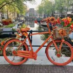 Amsterdam: Small Group Walking Tour with Fun Guide - What Every Traveler Should Know
