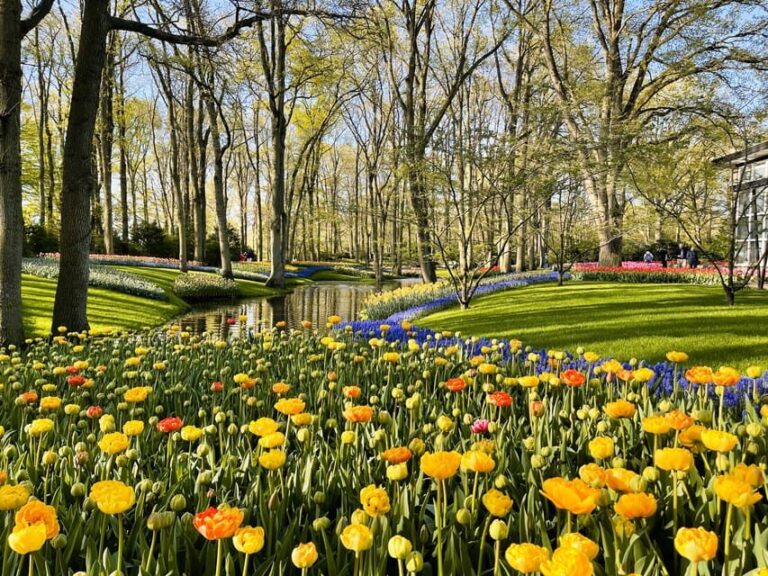 Amsterdam: Tulips & Windmill - Full day PRIVATE tour by car - Who Should Consider This Tour?