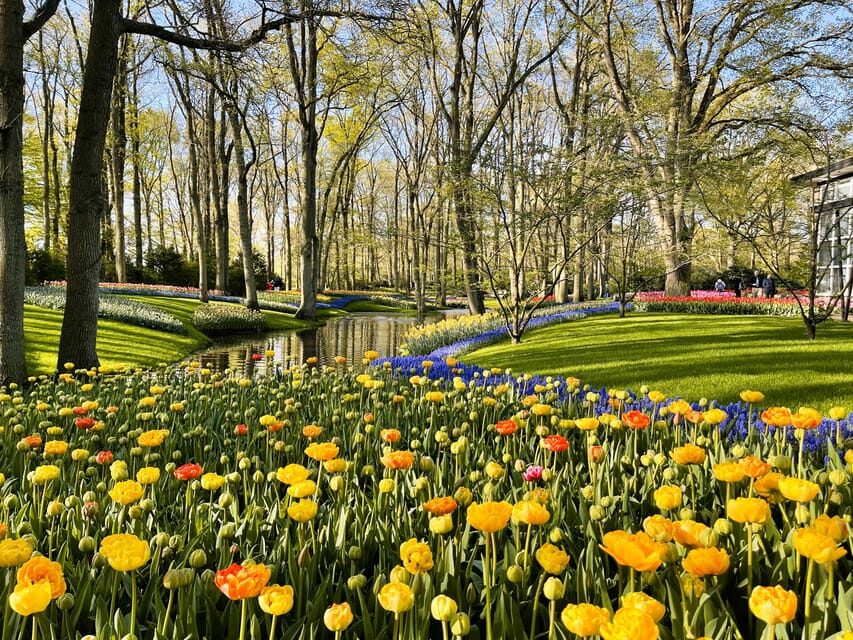 Amsterdam: Tulips & Windmill - Full day PRIVATE tour by car - Who Should Consider This Tour?