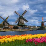 Amsterdam: Zaanse Schans, Cheese Tasting & Volendam Tour - Why This Tour Works