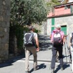 An easy hiking and a wine tasting tour in Cinque Terre - Exploring Cinque Terre’s Hidden Gems with Wine and Walking