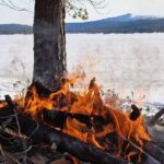 An Evening in the Backcountry, Northern Lights on a Sleighride - A Closer Look at the Experience