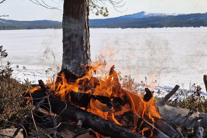 An Evening in the Backcountry, Northern Lights on a Sleighride - A Closer Look at the Experience