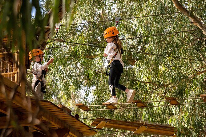An exciting, Tree Top Adventure for Our Littlest Adventurers - A Deep Dive into the TreeClimb Experience