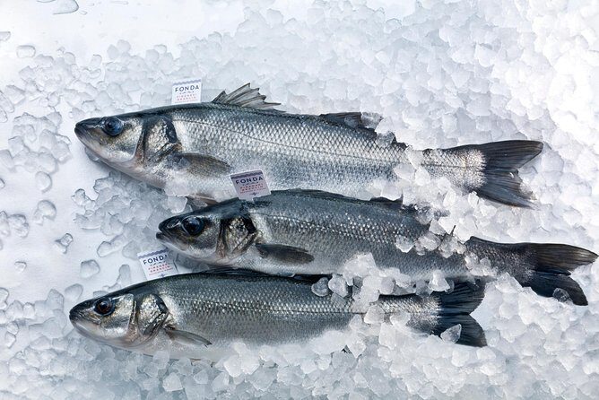 An Unforgettable Day With Fish, Wine and Olive Oil Tasting - Final Thoughts