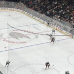 Anaheim Ducks Ice Hockey Game at Honda Center - Authentic Insights from Past Visitors