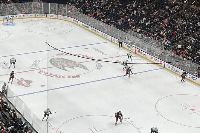 Anaheim Ducks Ice Hockey Game at Honda Center - Authentic Insights from Past Visitors
