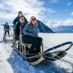 Anchorage Area: Helicopter and Glacier Dogsled Tour - A Detailed Look at the Experience