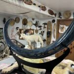 Anchorage City Tour, w/Choc Factory Samplings - Who Will Love This Tour?