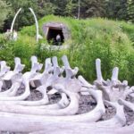 Anchorage Highlights and Indigenous Heritage - Why This Tour Works