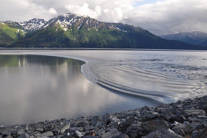 Anchorage to Seward Wildlife Adventure - FAQs