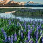Anchorage: Turnagain Arm Highlights Photography Day Trip - What’s Included and What to Expect