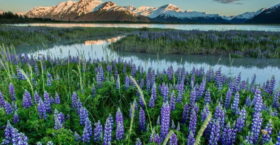 Anchorage: Turnagain Arm Highlights Photography Day Trip - What’s Included and What to Expect