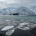Anchorage: Turnagain Arm Scenic Winter Tour with a Guide - Why This Tour Works Well
