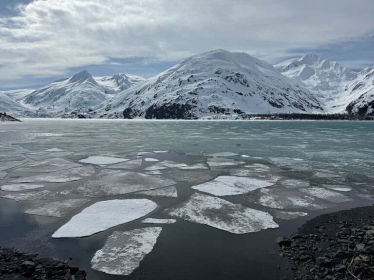 Anchorage: Turnagain Arm Scenic Winter Tour with a Guide - Why This Tour Works Well