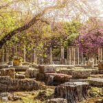 Ancient Olympia full day private tour from Athens - Authentic Experience and Practical Benefits