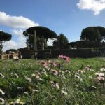 Ancient Ostia Tour - Frequently Asked Questions