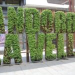 Andorra la Vella: Private tour of Old Town & Commercial Hub - Exploring Andorra La Vella’s Old Town and Commercial Heart
